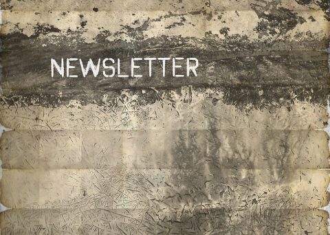 ¿Qué es una Newsletter y cómo hacerla?